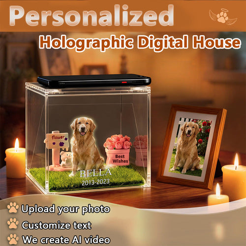 Pet Holographic Digital Video Projection Room