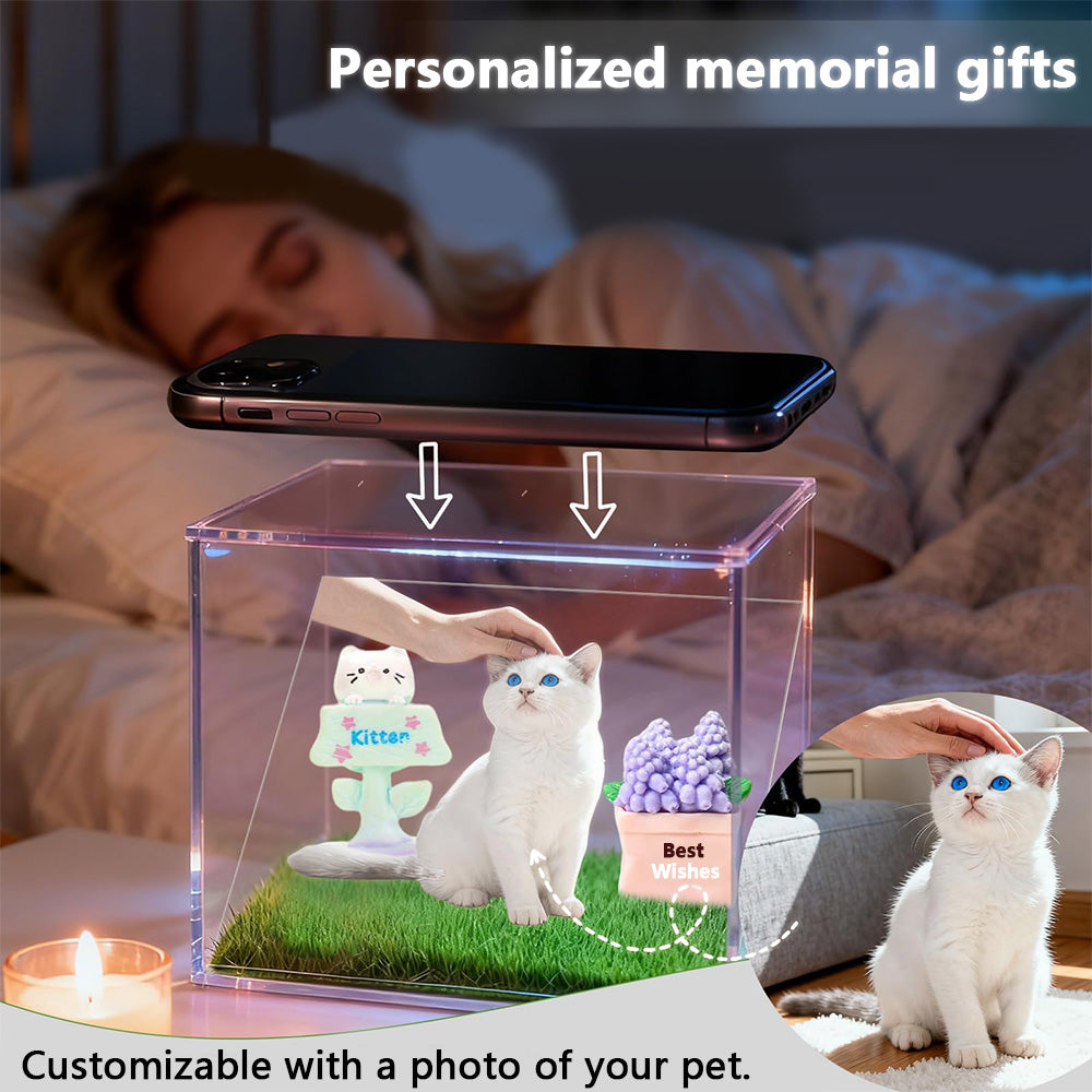Pet Holographic Digital Video Projection Room