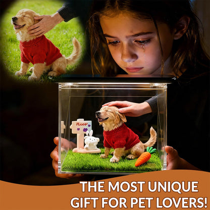 Pet Holographic Digital Video Projection Room